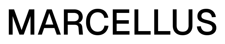 Morgan Stanley logo
